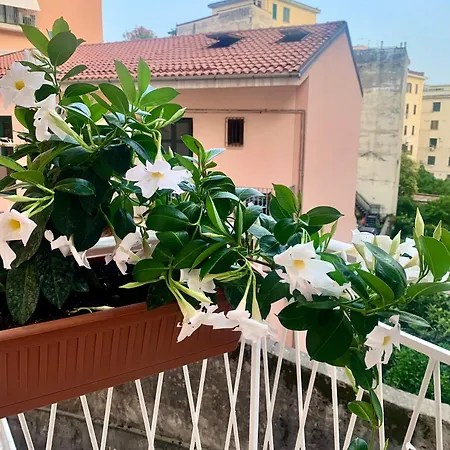 Casa Citro Apartment Salerno